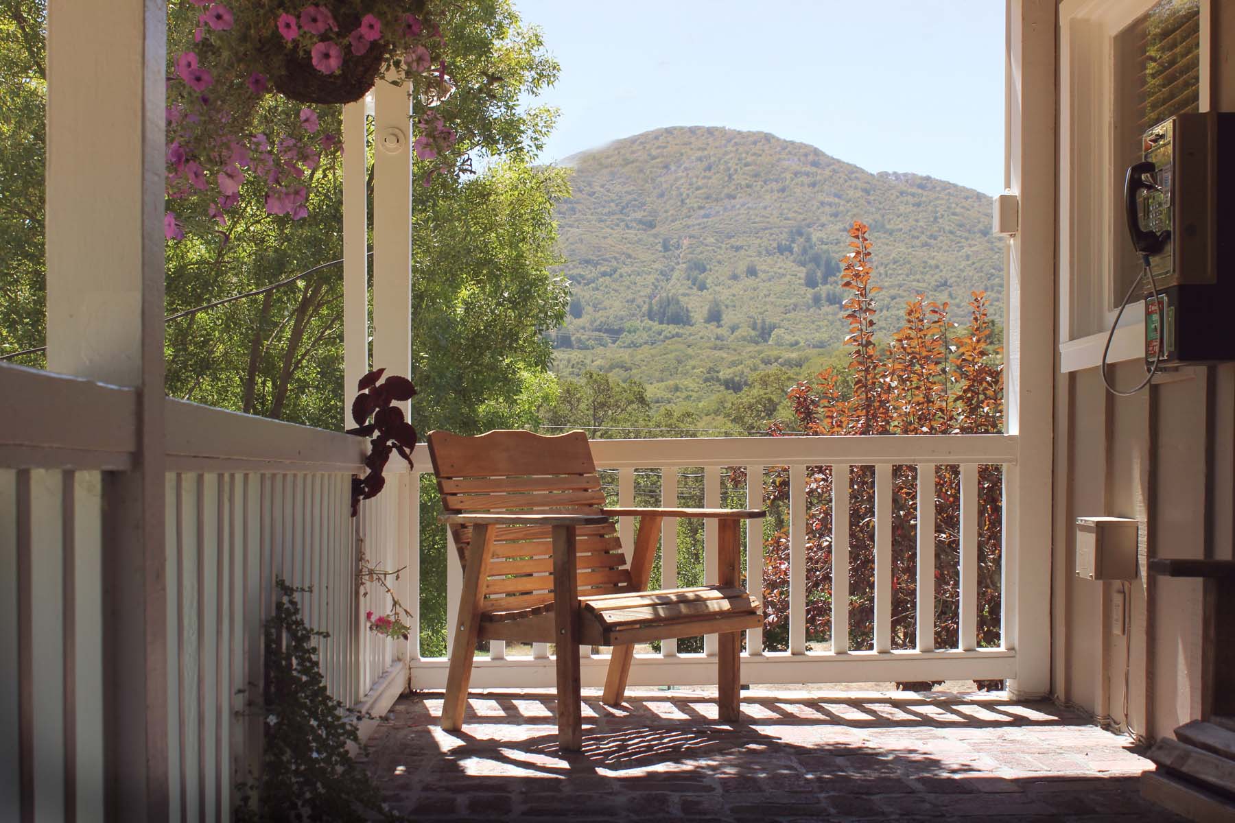 Celebrate 75 Years of Healing at Mountain Vista Farm Mountain Vista Farm