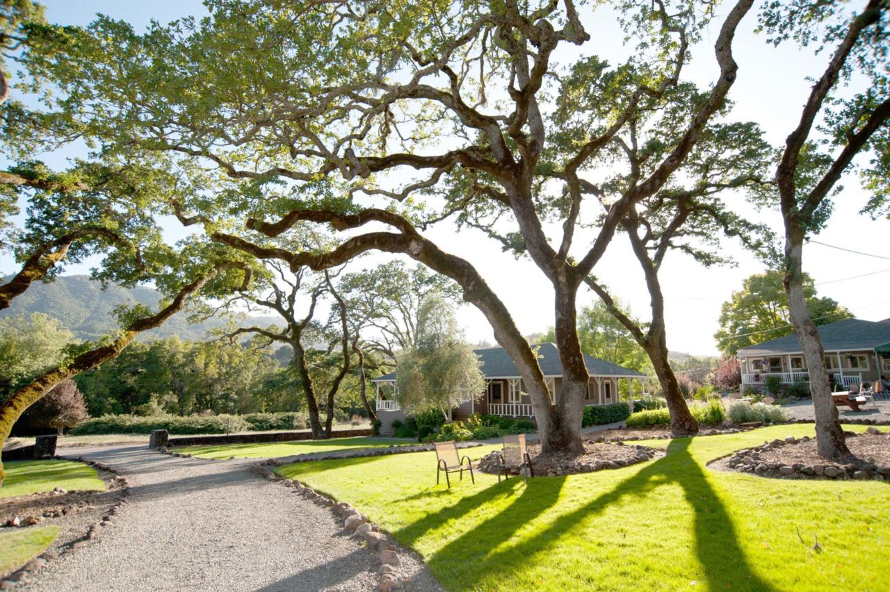 Program Components Mountain Vista Farm