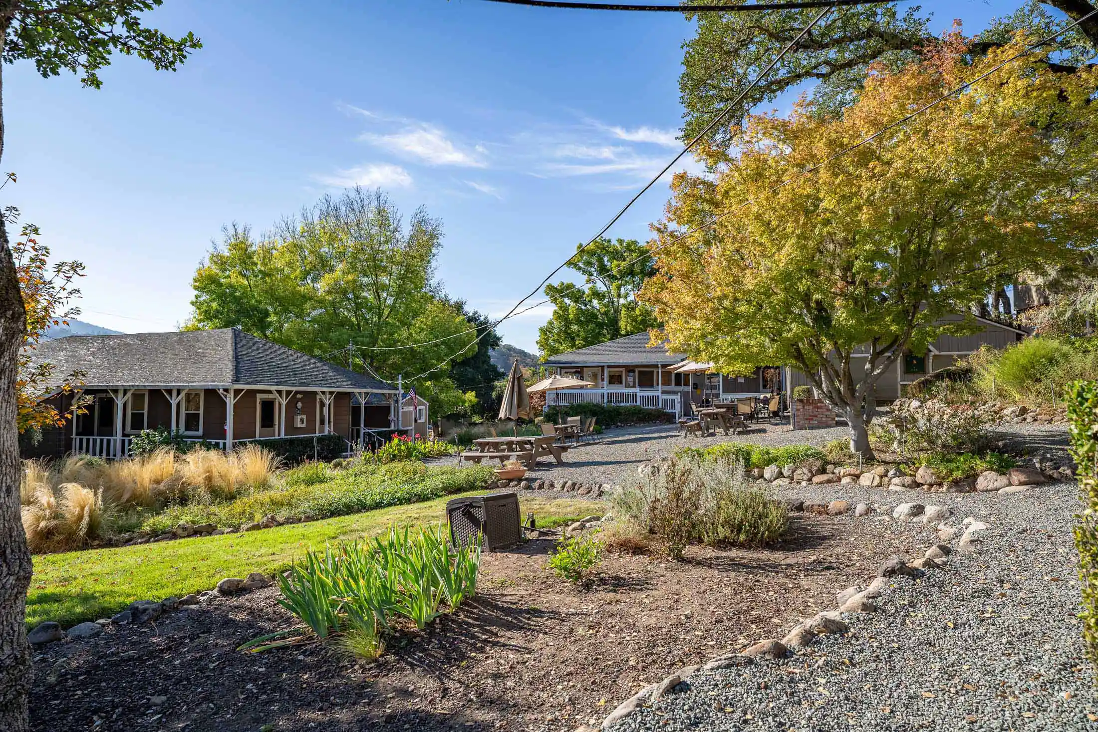 Treatment FAQs - Mountain Vista Farm