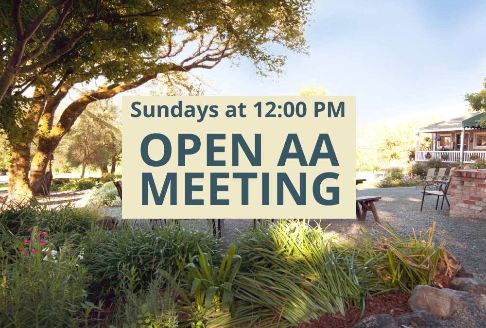 AA Meeting Sundays at 12:00 PM
